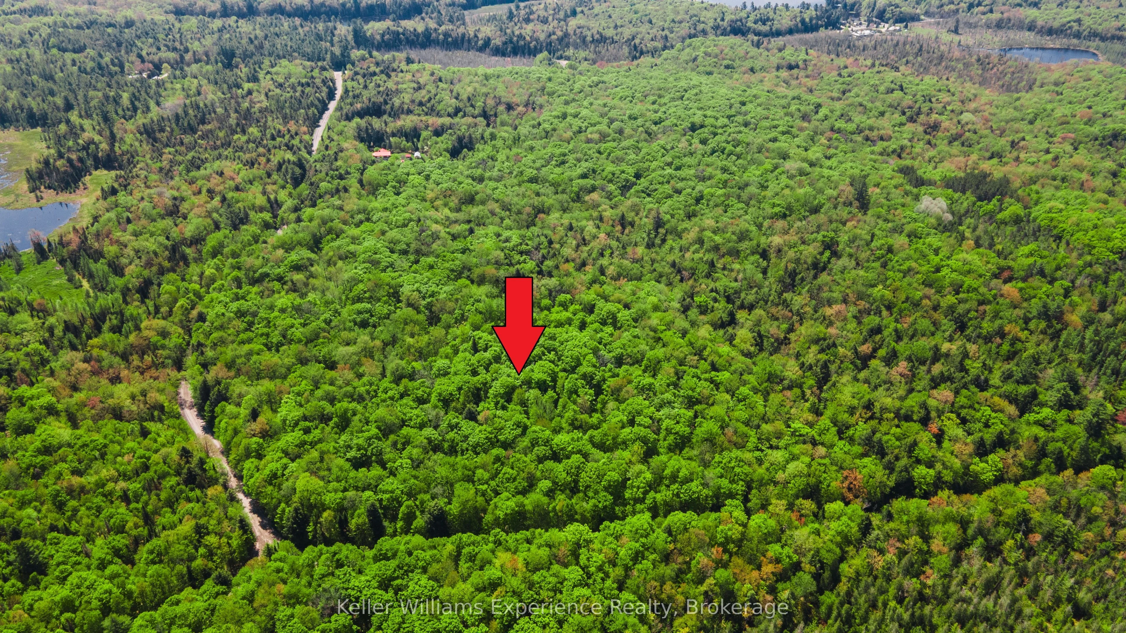 0 Healey Lake Road, Bracebridge, On P1l 1x3