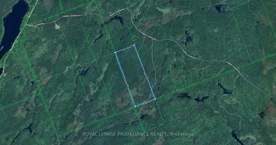 Vacant Land in Tweed