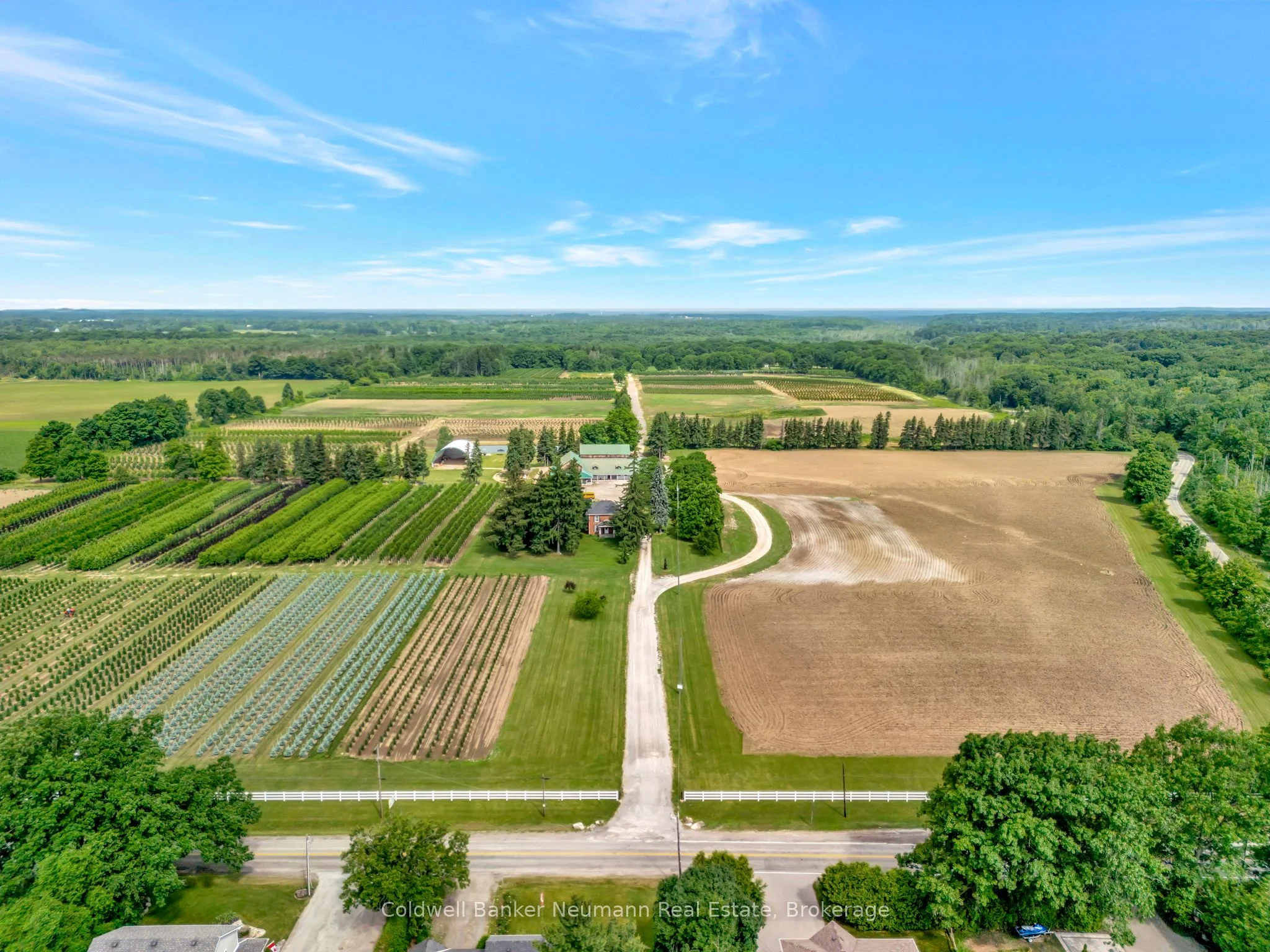 Farm in Hamilton