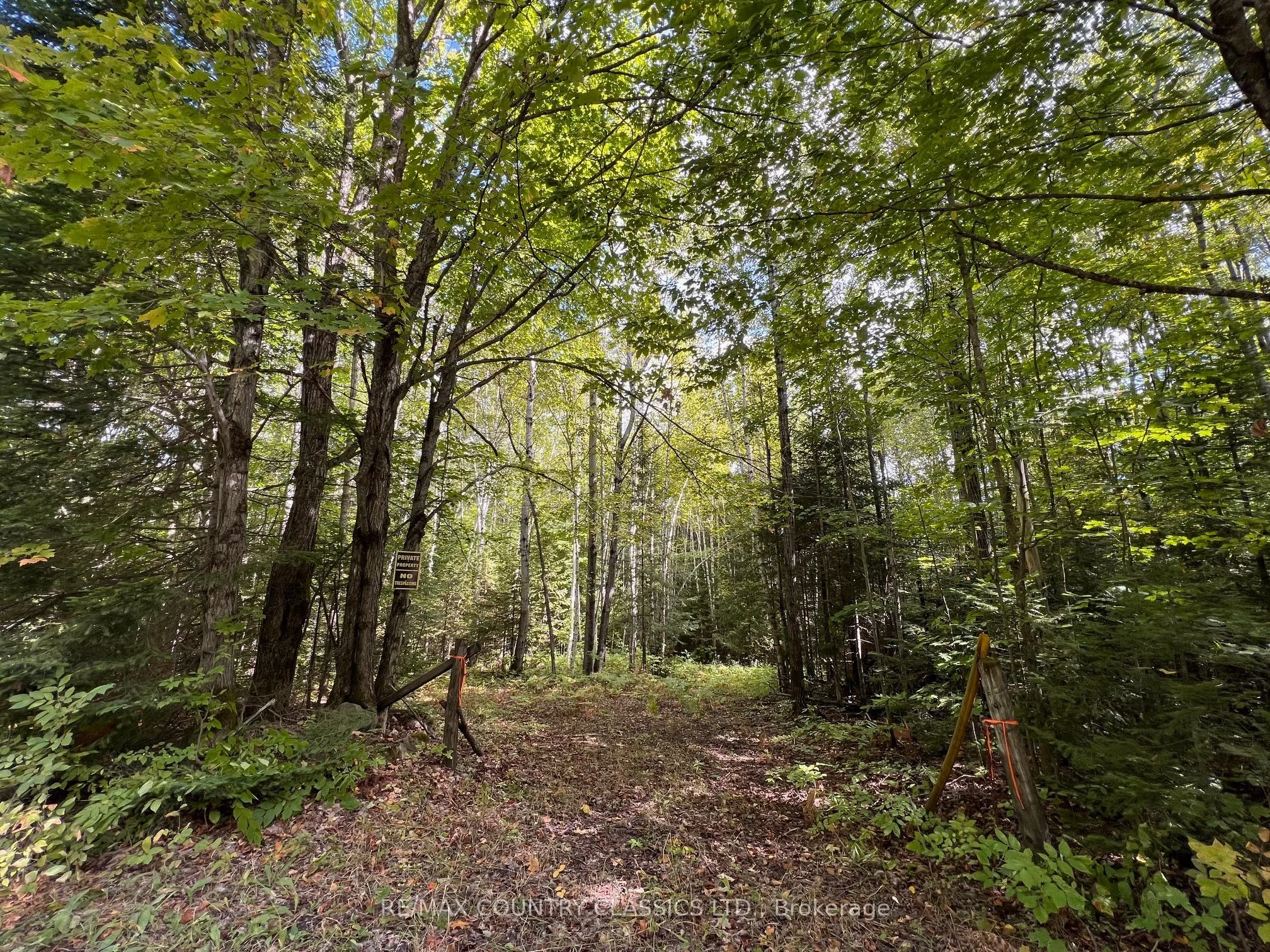 0 Storey Road, Hastings Highlands, ON K0L 1C0