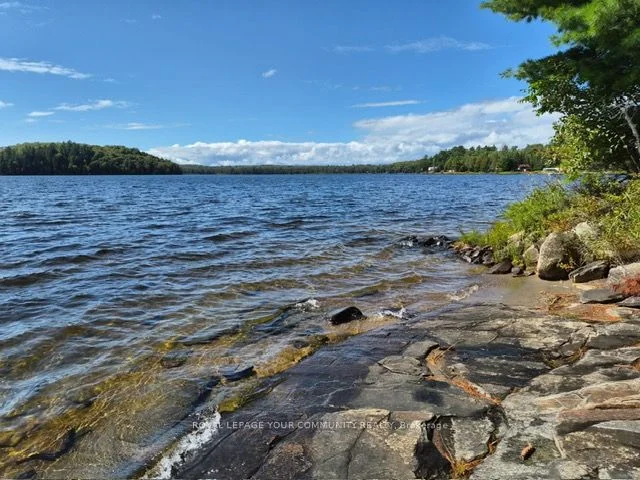 2193 Fern Glen Road, Mcmurrich/monteith, On P0a 1y0