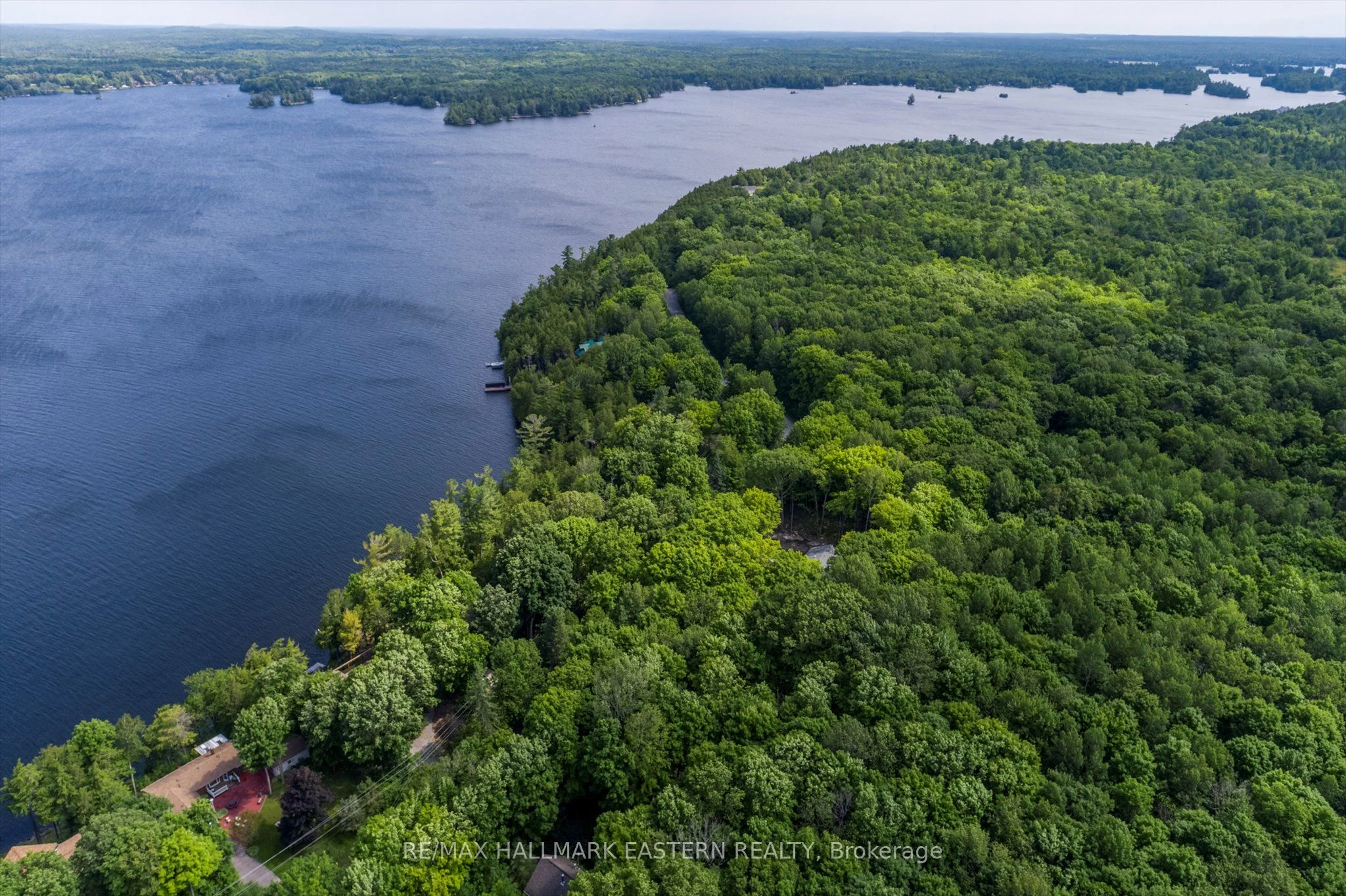 0 Teds Lane, Trent Lakes, On K0l 1j0