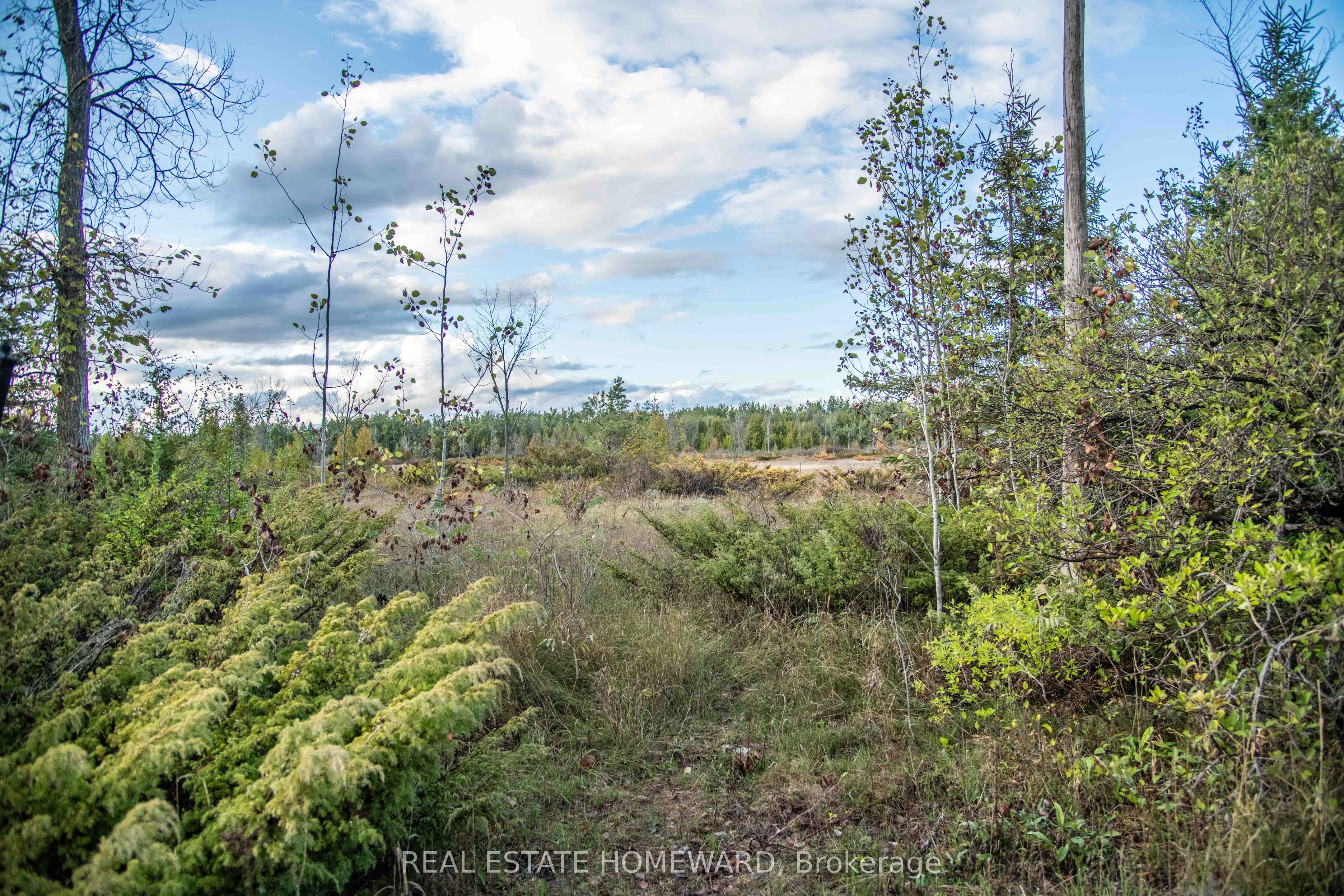 254-256 McGuire Beach Road, Kawartha Lakes, ON K0M 2B0