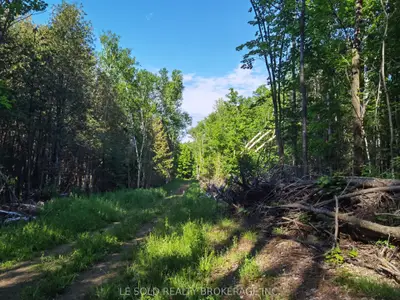 Vacant Land in Bonnechere Valley