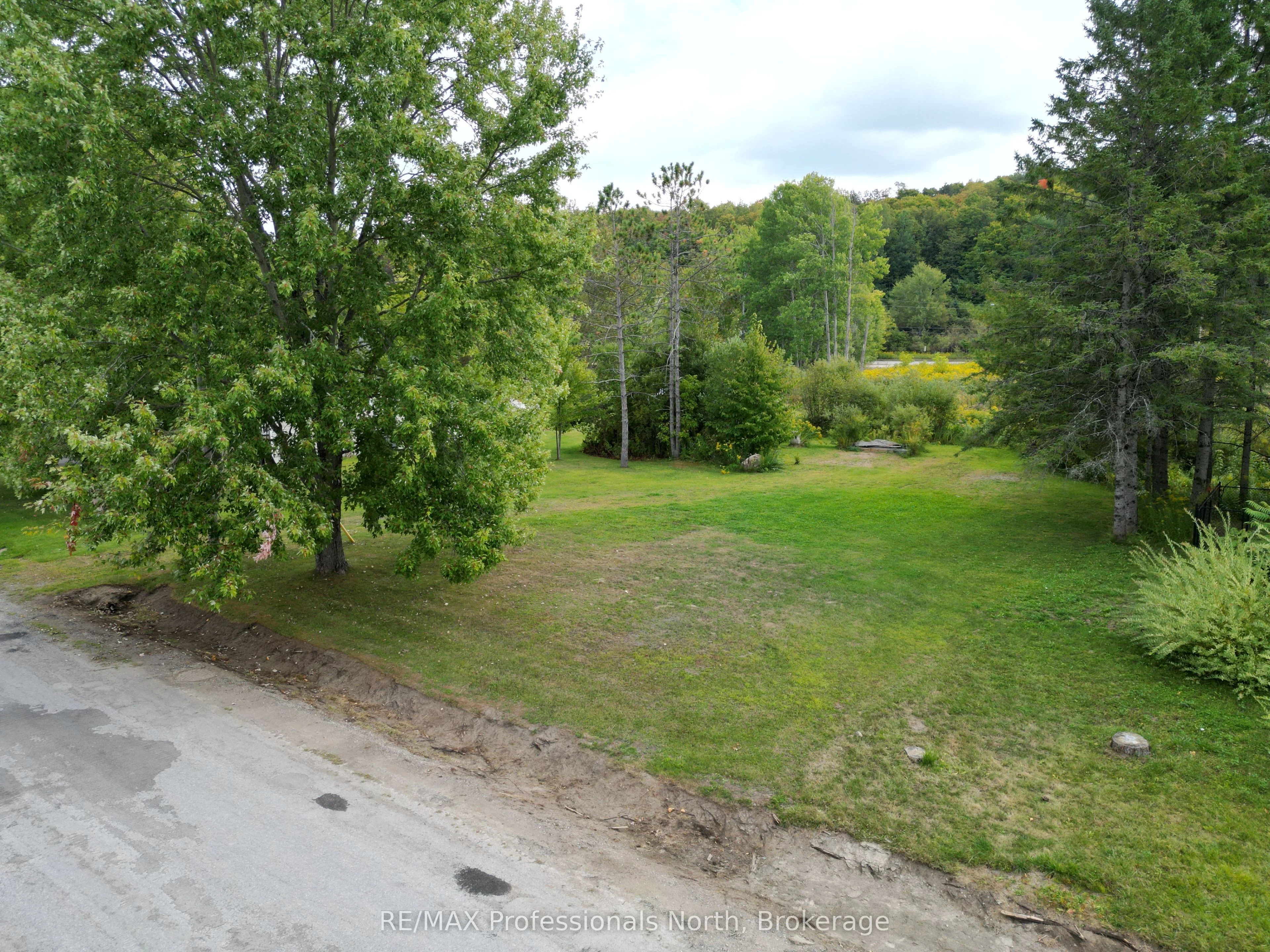 0 Parts Lot 12, Plan 1, Anson Street, Minden Hills, ON K0M 2K0