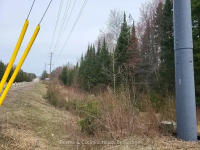 0 Highway 62 N, Hastings Highlands, ON, K0L 2S0