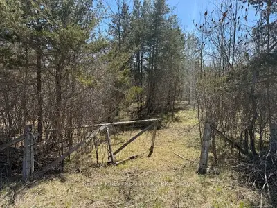 Vacant Land in Loyalist
