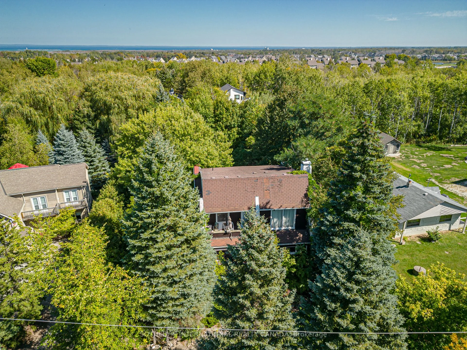 Detached in Blue Mountains