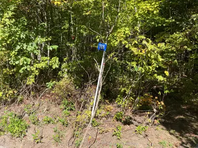 Vacant Land in Lanark Highlands