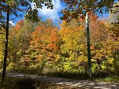 833 Hamilton Lake Road, Machar, On P0a 1x0