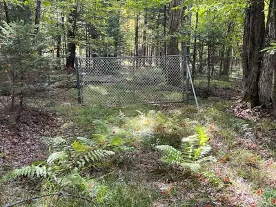 Vacant Land in Minden Hills