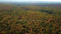 00 SOUTH HORN LAKE Road, Magnetawan, ON P0B 1C0