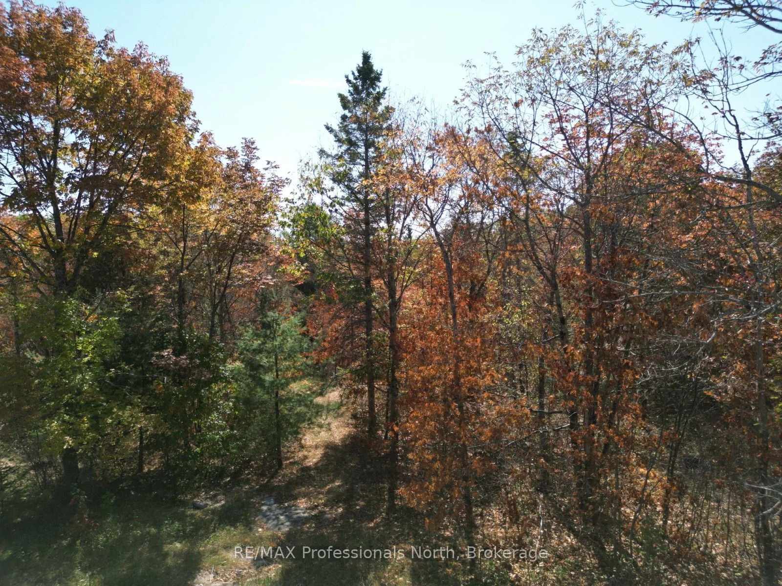 PT LT 35 CON 7 Glamor Lake Road, Highlands East, ON K0M 1R0