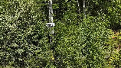 Lot 3 Fox Run Drive, Temagami, On P0h 2h0