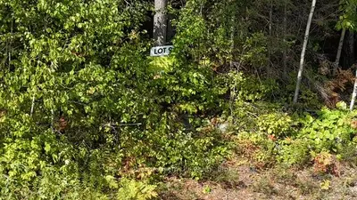 Lot 9 Fox Run Drive, Temagami, On P0h 2h0