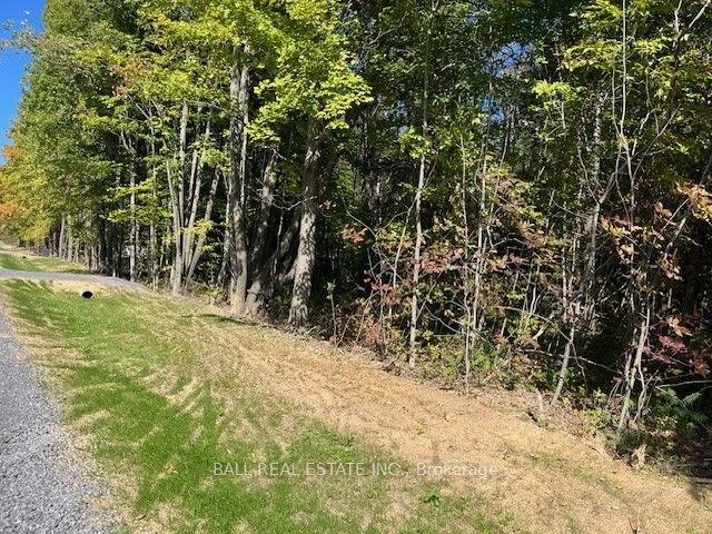 Pt 33A & Pt 33B Autumn Road N, Trent Hills, ON K0K 3K0