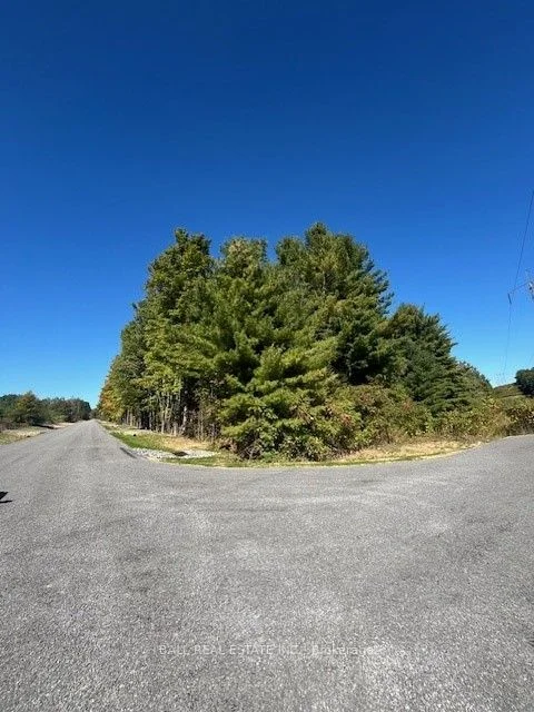 Pt 33a & Pt 33b Autumn Road N, Trent Hills, On K0k 3k0