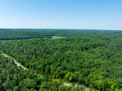 Vacant Land in Lake of Bays