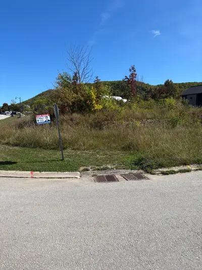 102 Maryward Crescent, Blue Mountains, On N0h 1j0