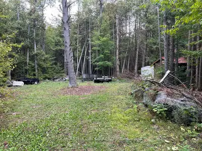 176 Base Line Road, Kawartha Lakes, ON K0M 1K0