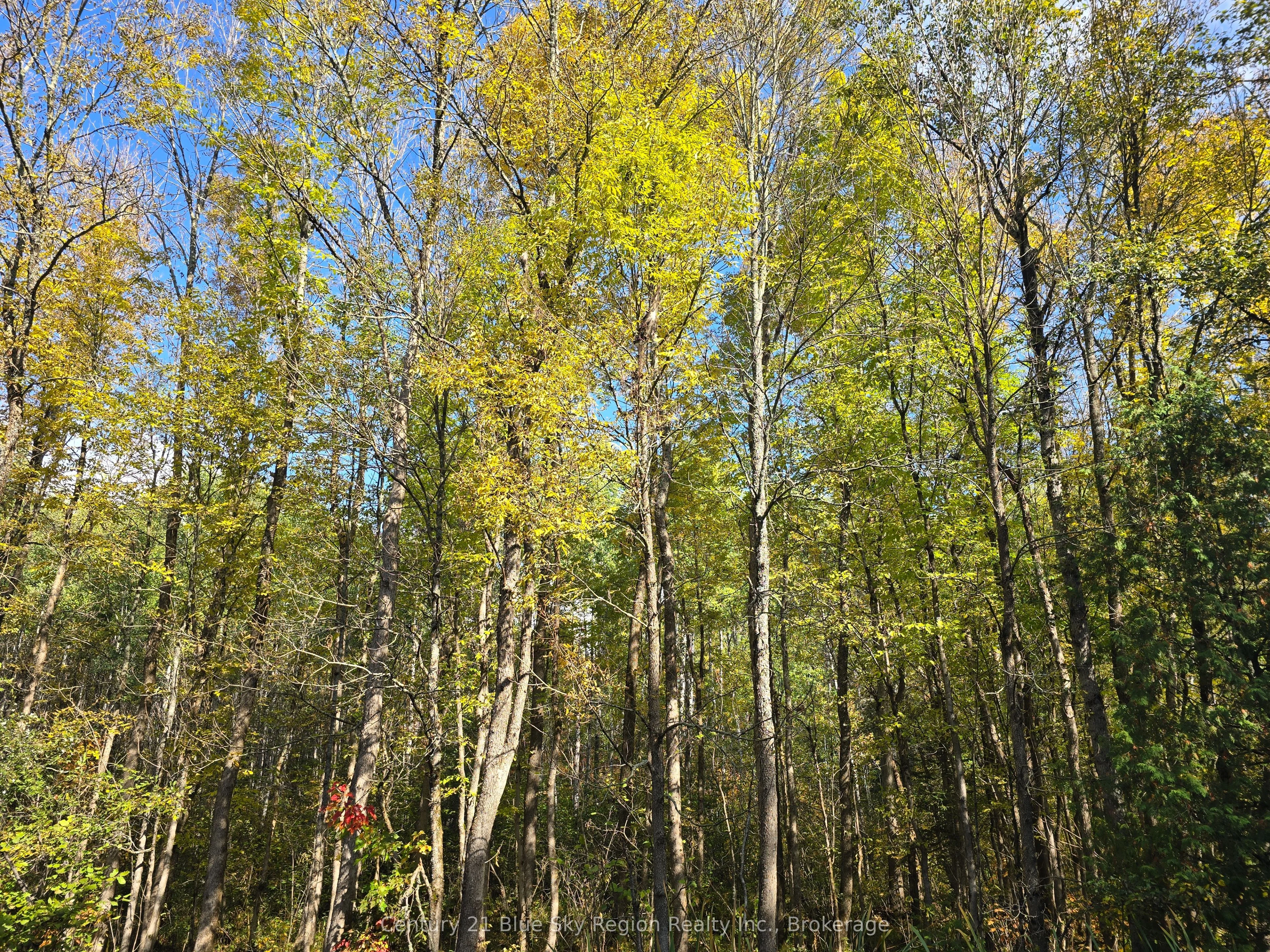 LOT 5 CON 3 Guillemette Road, West Nipissing, ON P0H 2C0