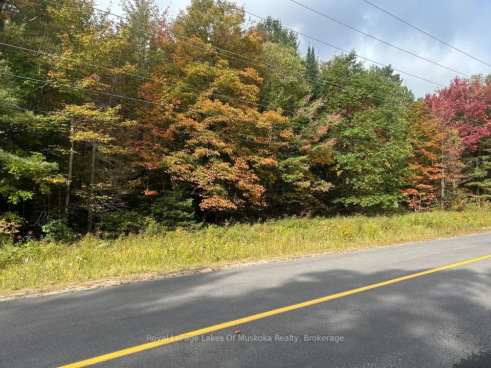 PT2 35R 132264 Bonnie Lake Road, Bracebridge, ON P1L 1W9