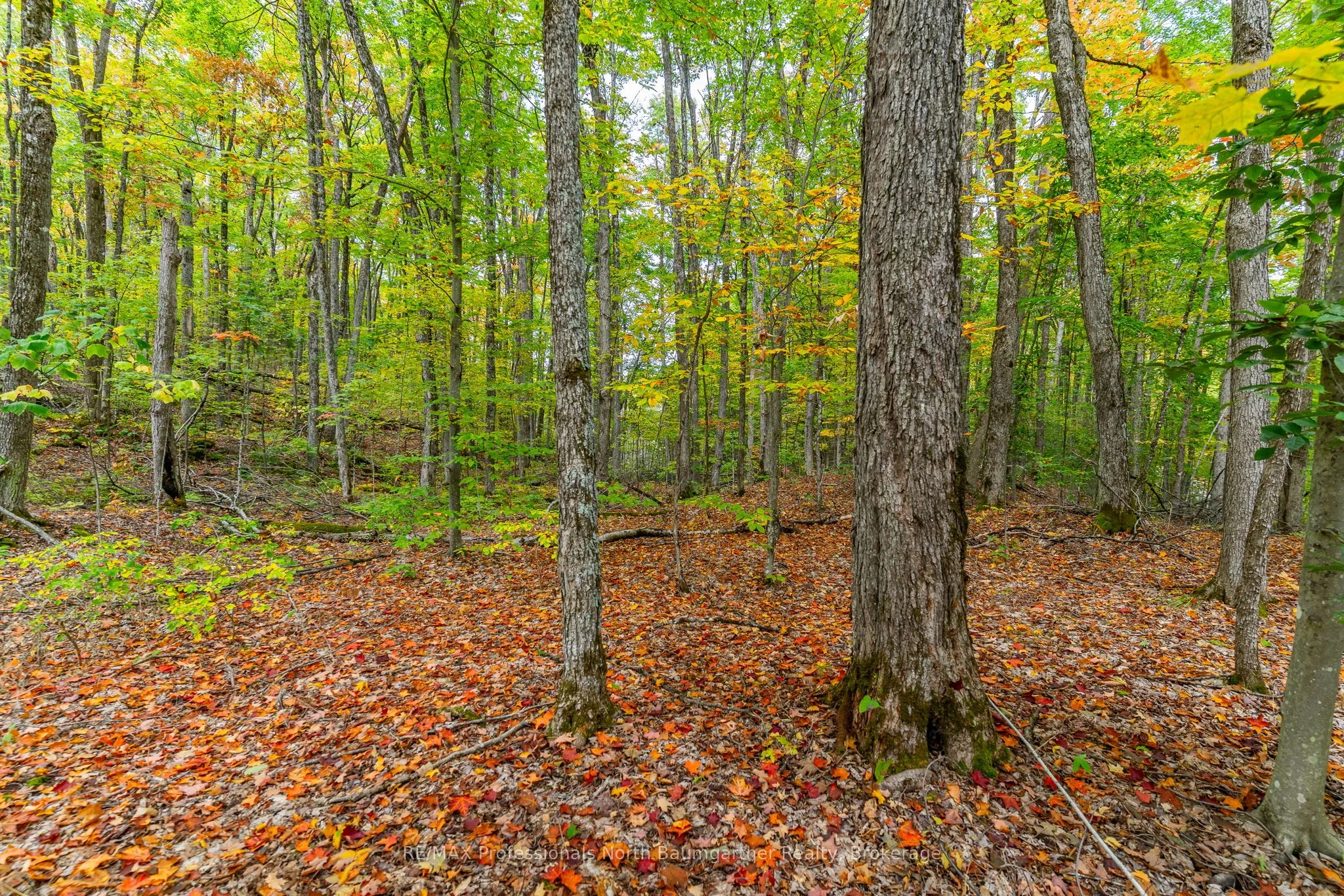 Part Lot 1 Salerno Lake Road, Highlands East, ON K0M 1X0