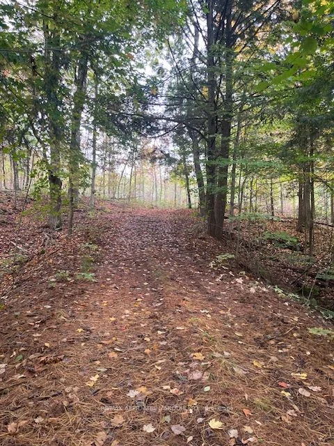 1738 County 2 Road, Front of Yonge, ON K0E 1R0