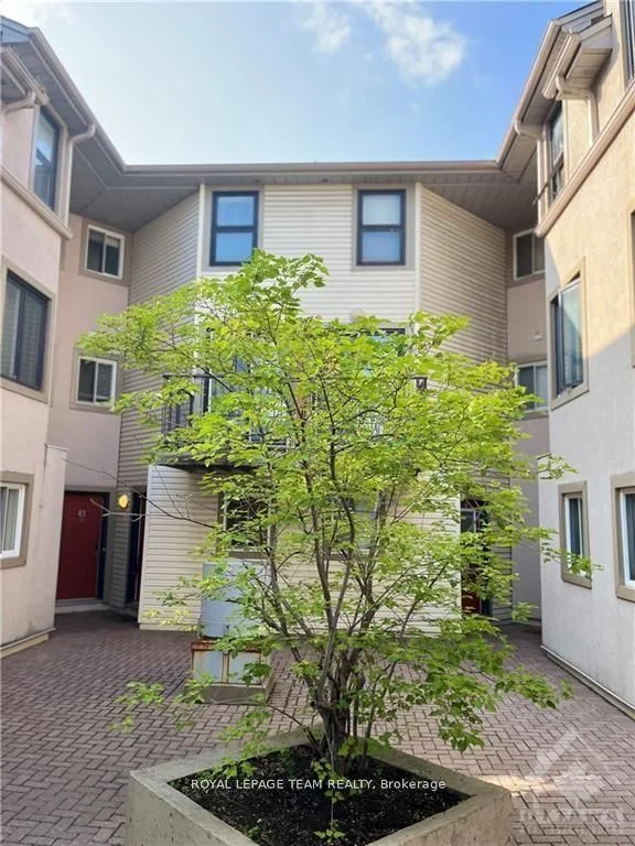 41 ANDERSON Street E, West Centre Town, ON K1R 6T6