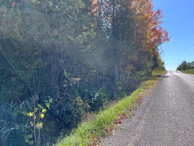 Vacant Land in Marmora and Lake