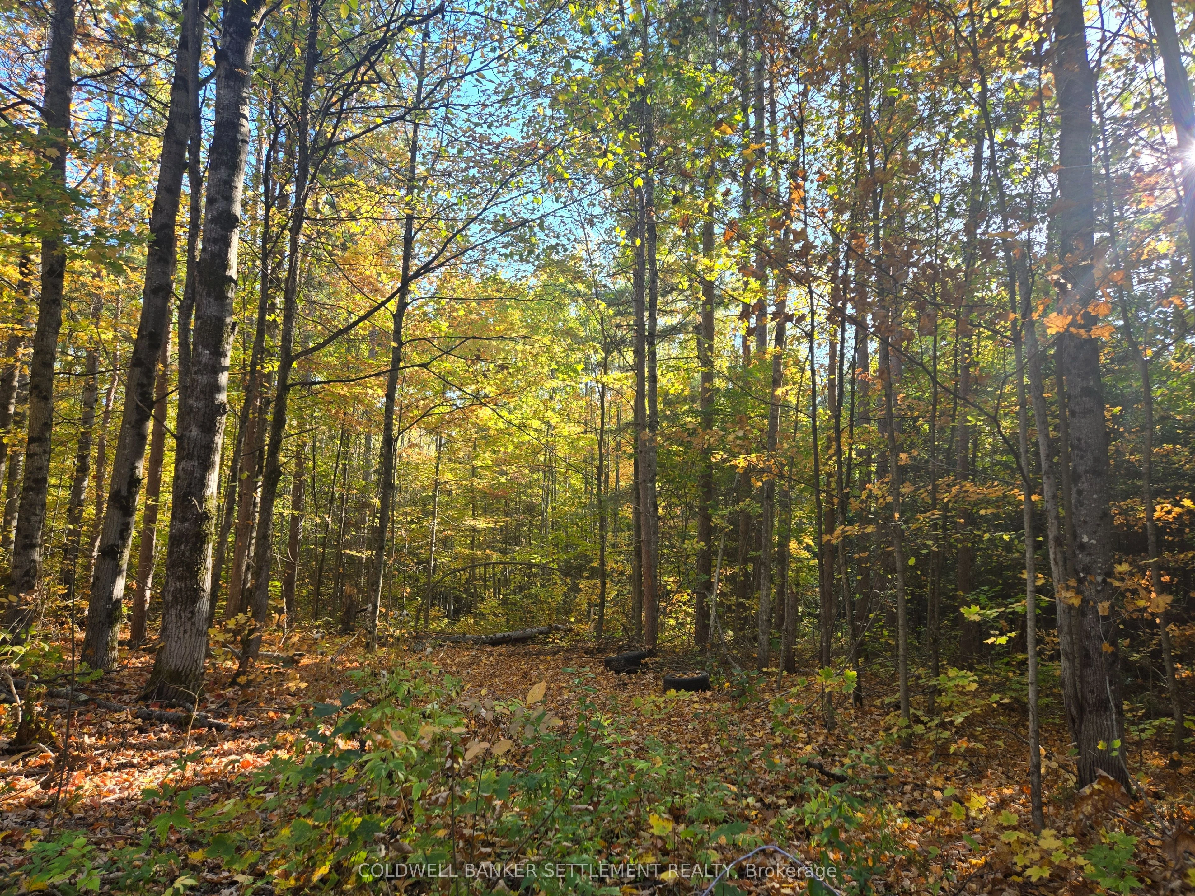 0 Dalhousie Con 4 Concession, Lanark Highlands, ON K0G 1K0