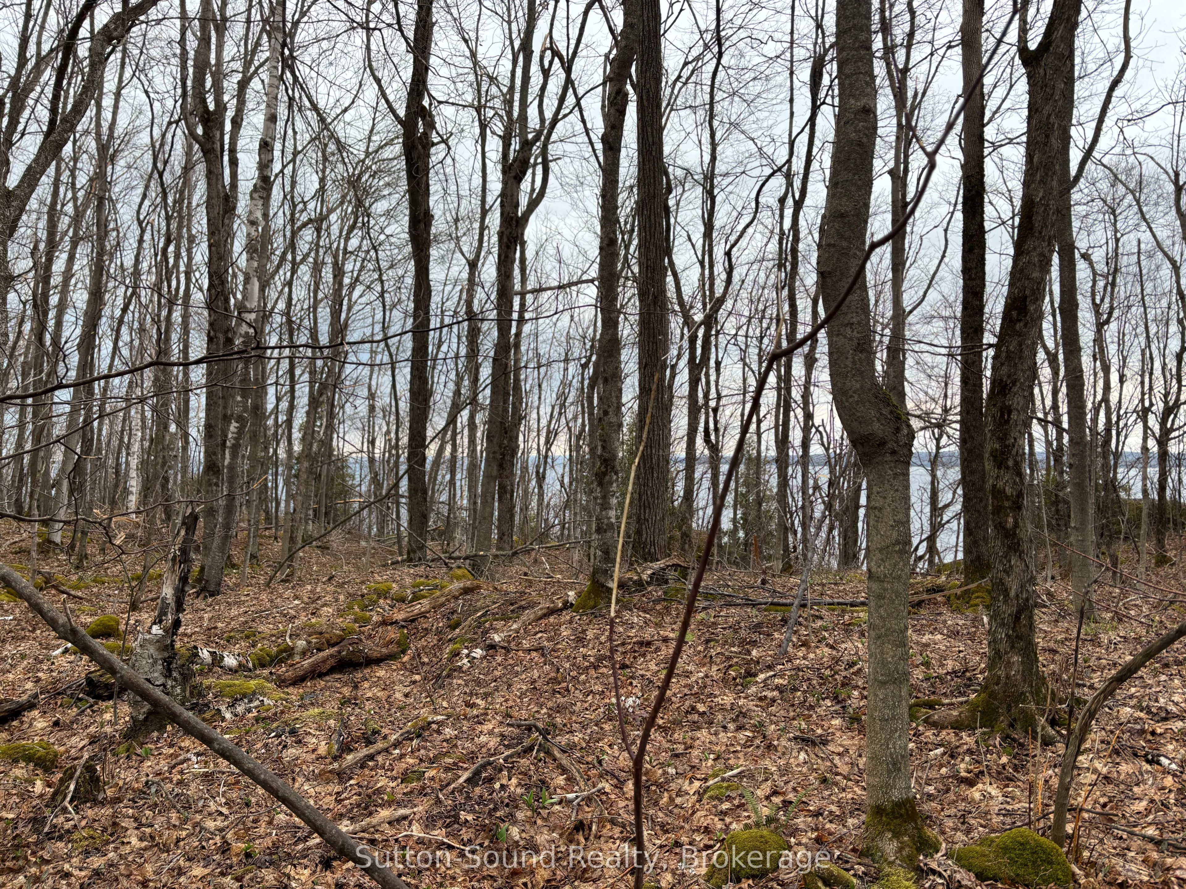 PT LT 9 CON 14 EBR PT 14 Concession, Northern Bruce Peninsula, ON N0H 1W0