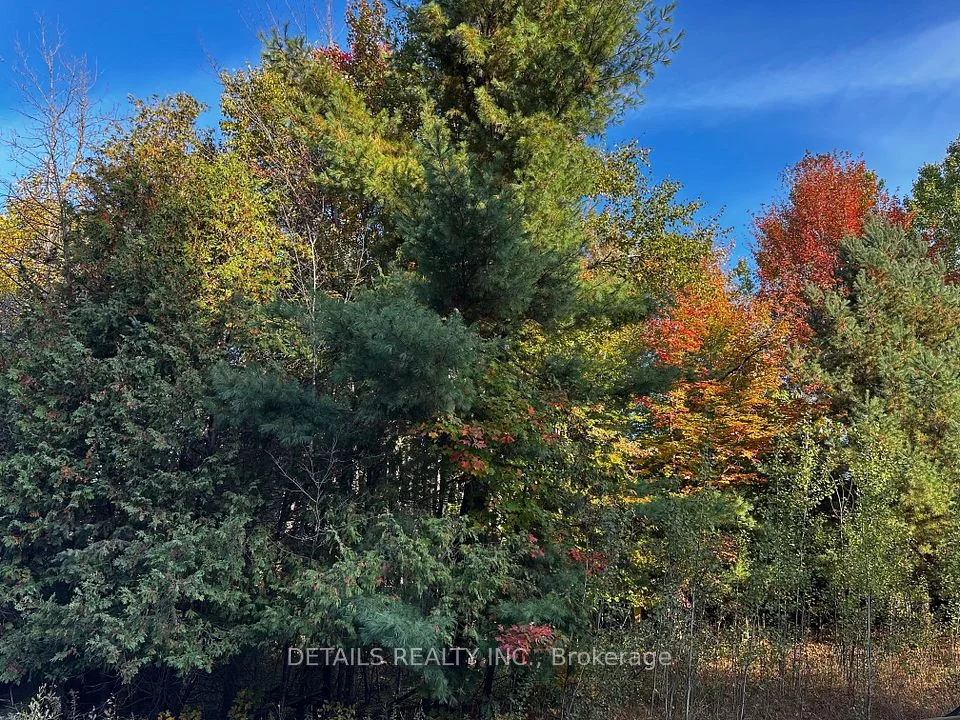 515 Vances side Road N, Constance Bay - Dunrobin - Kilmaurs - Woodlawn, ON K0A 1T0