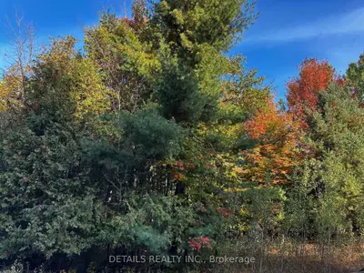 Vacant Land in Constance Bay - Dunrobin - Kilmaurs - Woodlawn