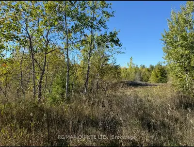 0 Price Road, Tweed, ON K0K 3J0