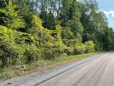 1170 Bellamy Road, Mississippi Mills, On K0a 2x0