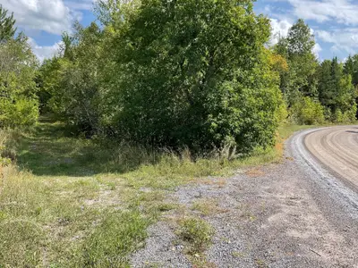 1196 Bellamy Road, Mississippi Mills, On K0a 2x0