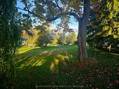 Vacant Land in Kawartha Lakes