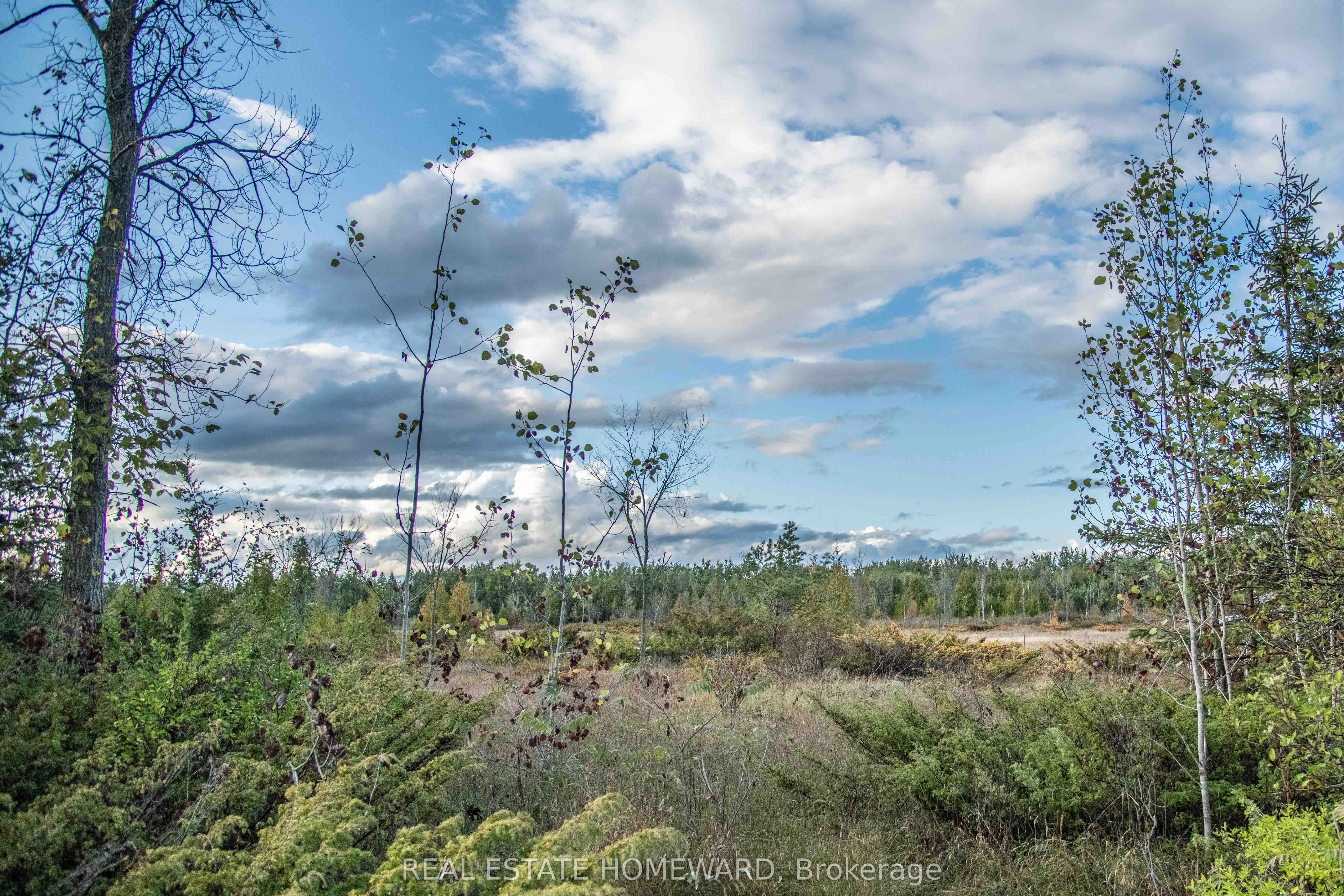 Lot 254 McGuire Beach Road, Kawartha Lakes, ON K0M 2B0
