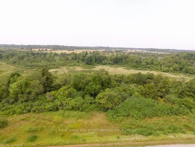 Lt 27 Pt 3 County Rd 10, Prince Edward County, On, K0k 2t0