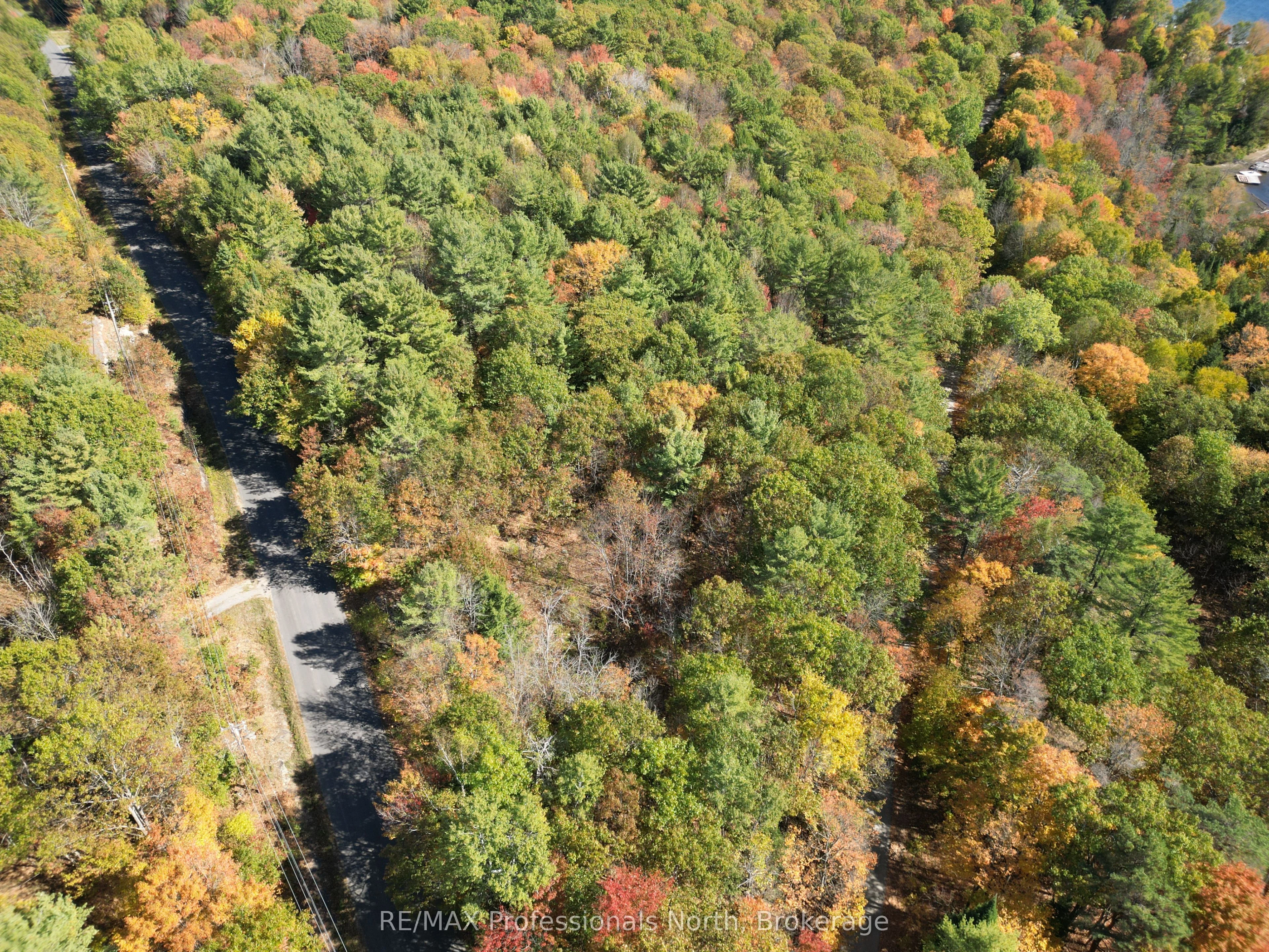 Vacant Land in Algonquin Highlands