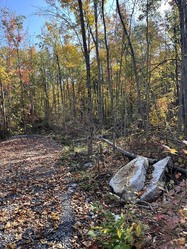 0 47 County Road, Havelock-Belmont-Methuen, ON K0L 1Z0