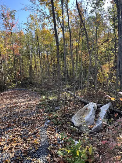 Vacant Land in Havelock-Belmont-Methuen