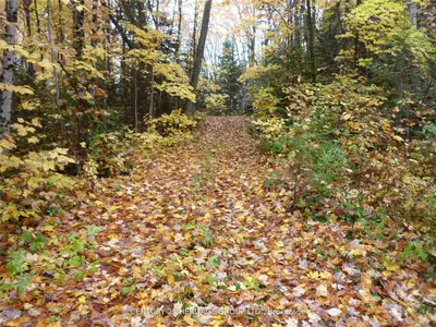 Vacant Land in Highlands East