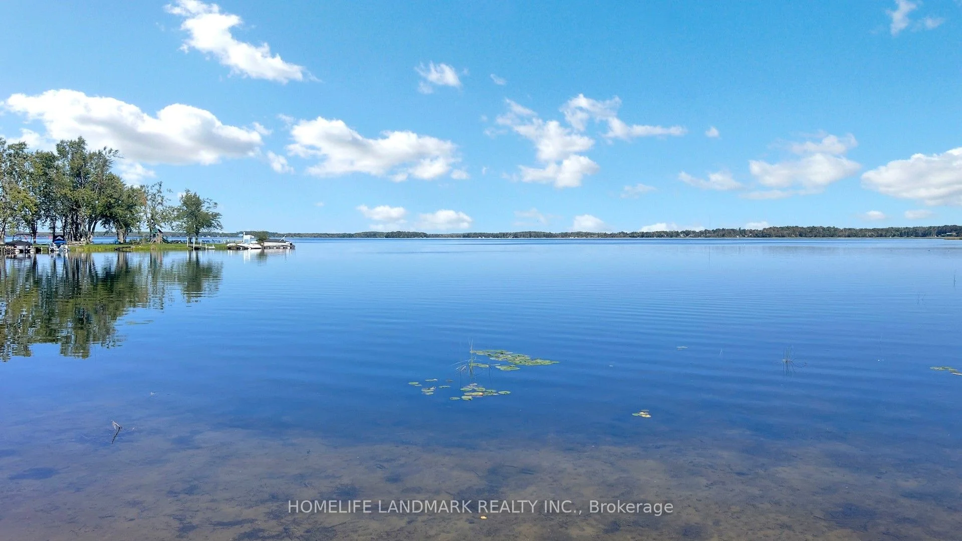 208 Lakeshore Drive, Kawartha Lakes, On K0m 1a0