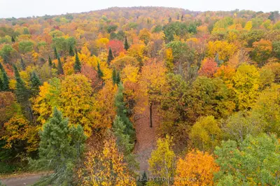 Vacant Land in Madawaska Valley