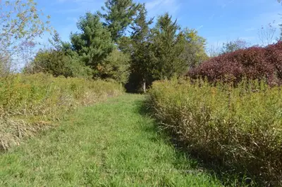 Vacant Land in Brighton