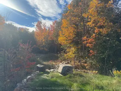 Lot 2 S Vansickle Road N, Havelock-belmont-methuen, On K0l 1c0