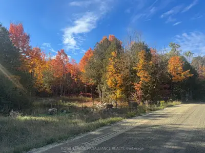 Lot 2 S Vansickle Road N, Havelock-Belmont-Methuen, ON K0L 1C0