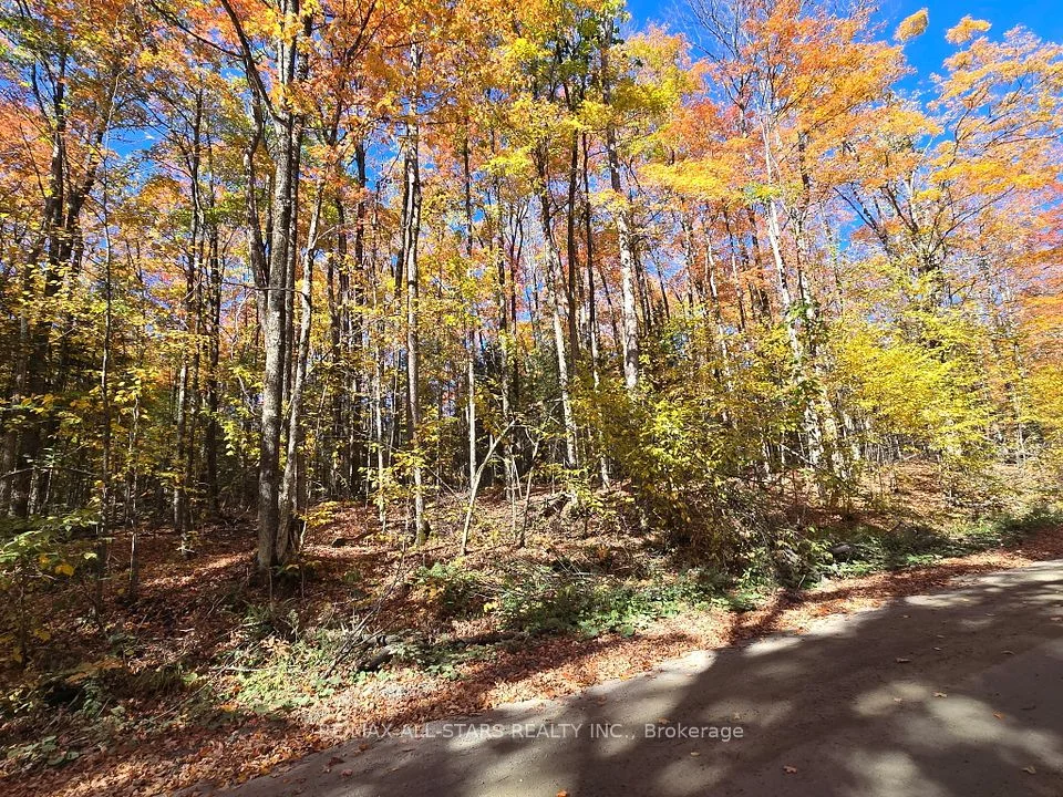 0 Salerno Lake Road, Highlands East, ON K0M 1X0